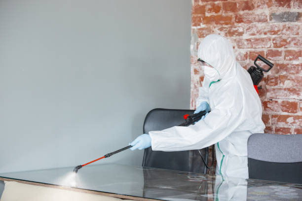 Professional Mold Removal in Brownsville, OR